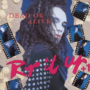 最低価格の デッドオアアライヴ ツアーパンフ DEAD OR ALIVE